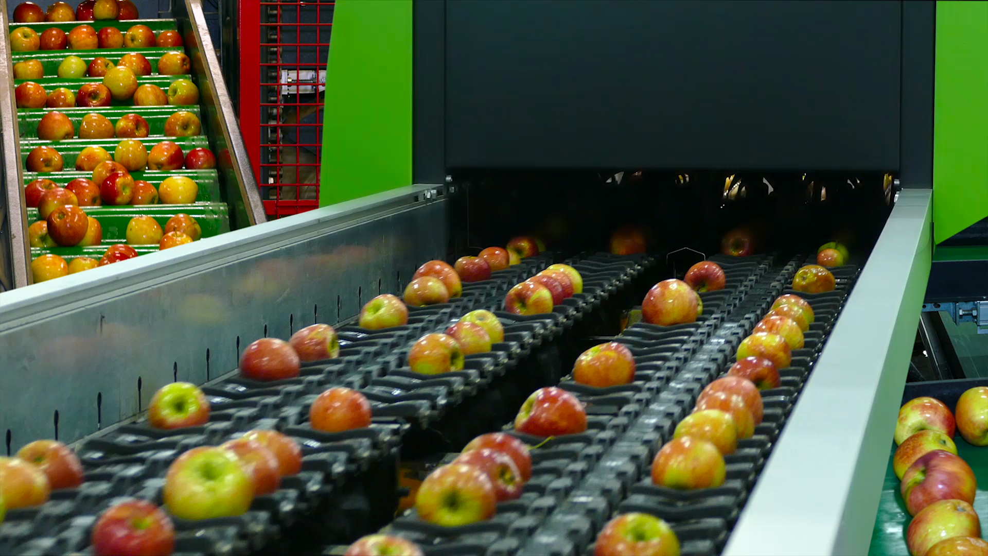 Fresh Fruit and Vegetable packaging Foodin